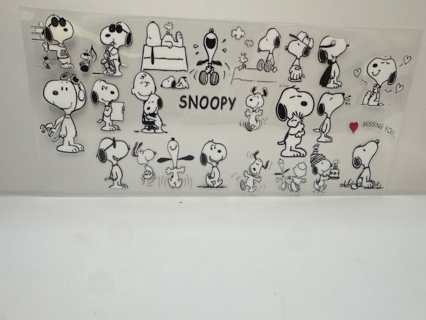 F841 snoopy