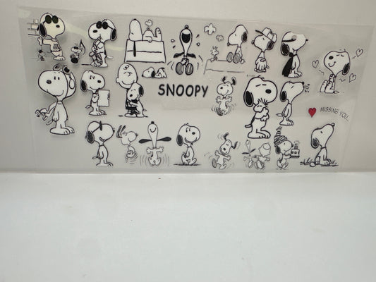 F841 snoopy