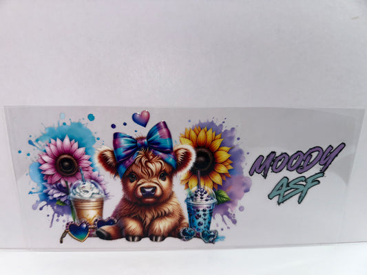 H2495 Moody asf cow