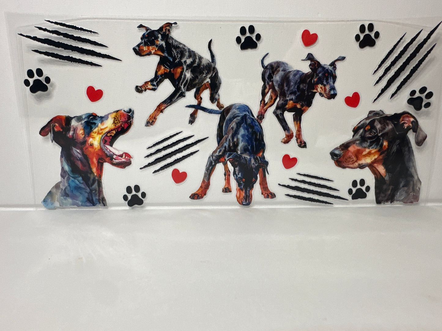 E379 doberman dog