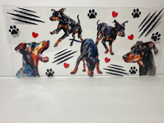 E379 doberman dog