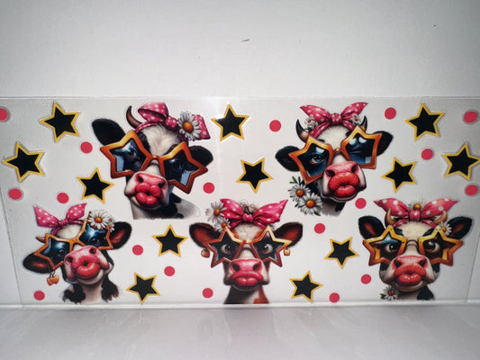 H490 cow with glasses