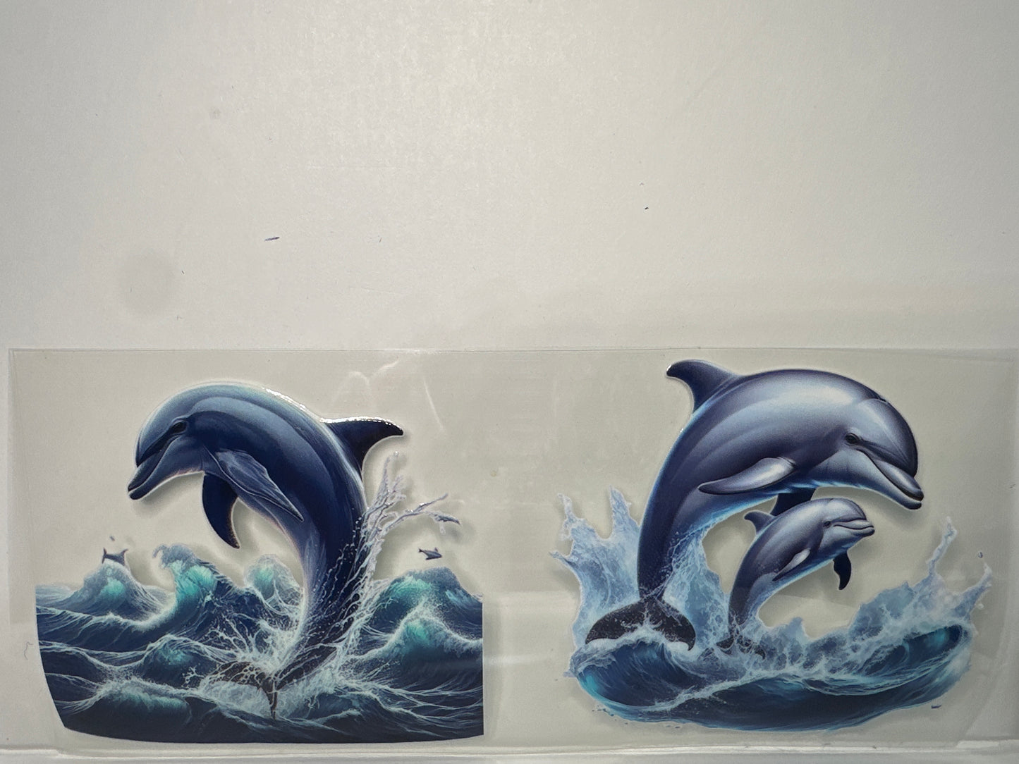 H1229 Dolphins
