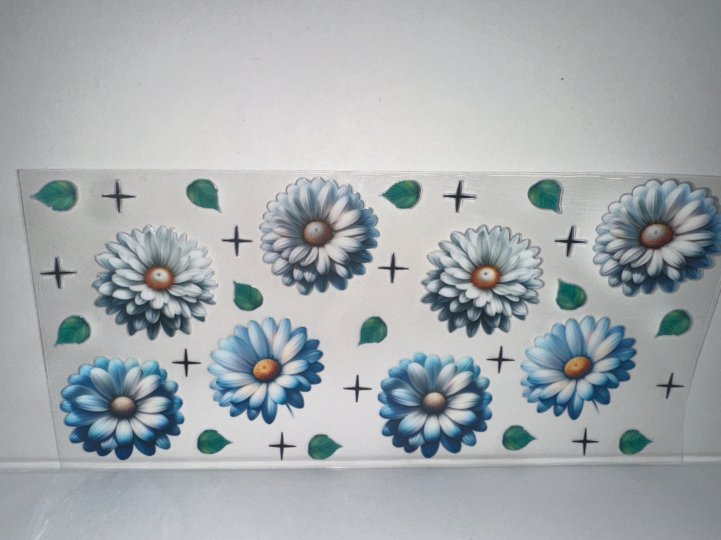 H3 white and blue flowers