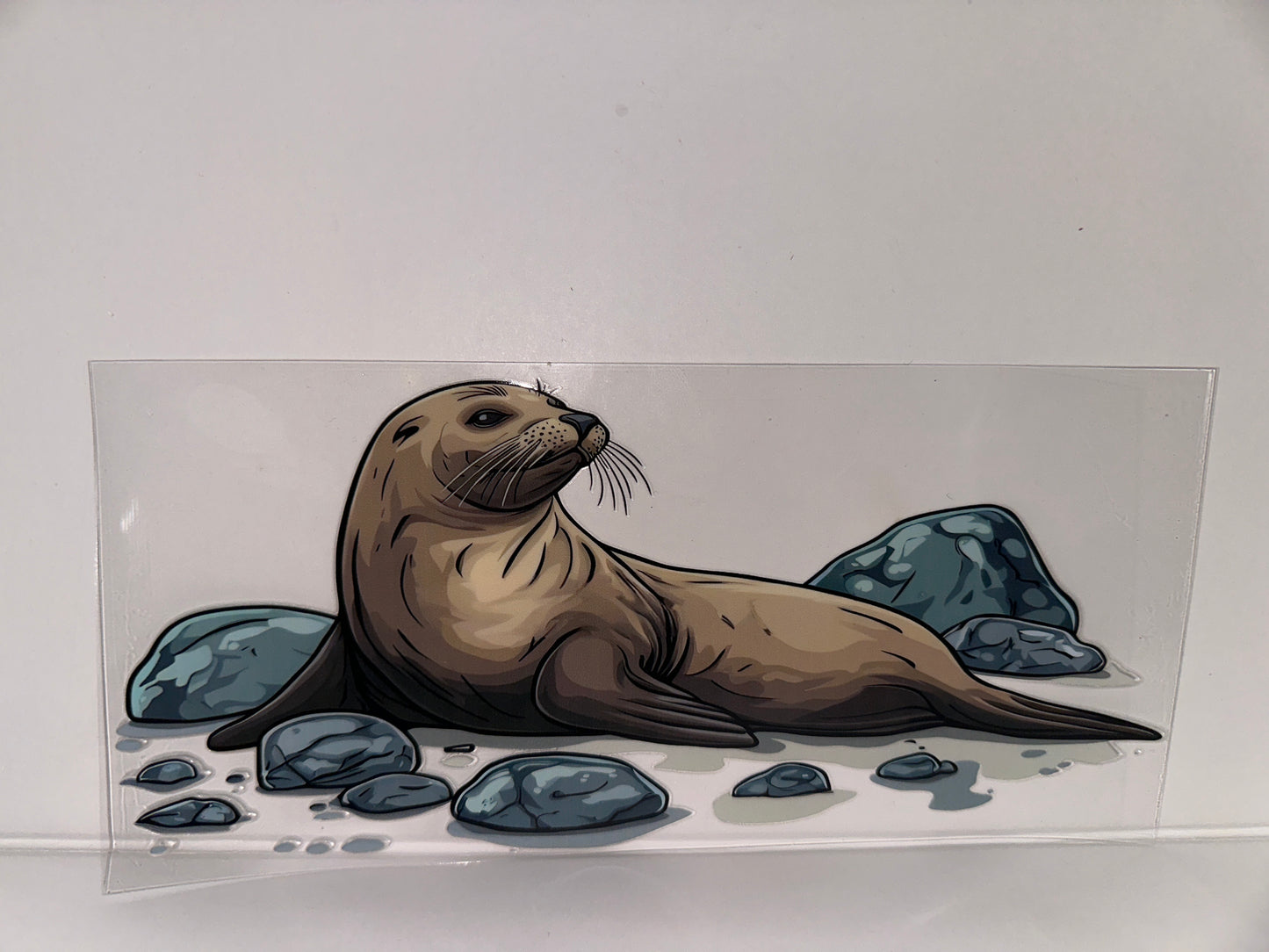 H149 seal with rocks