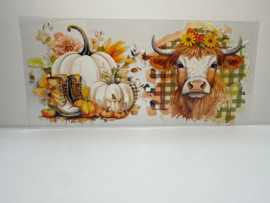 F397 Fall Cow