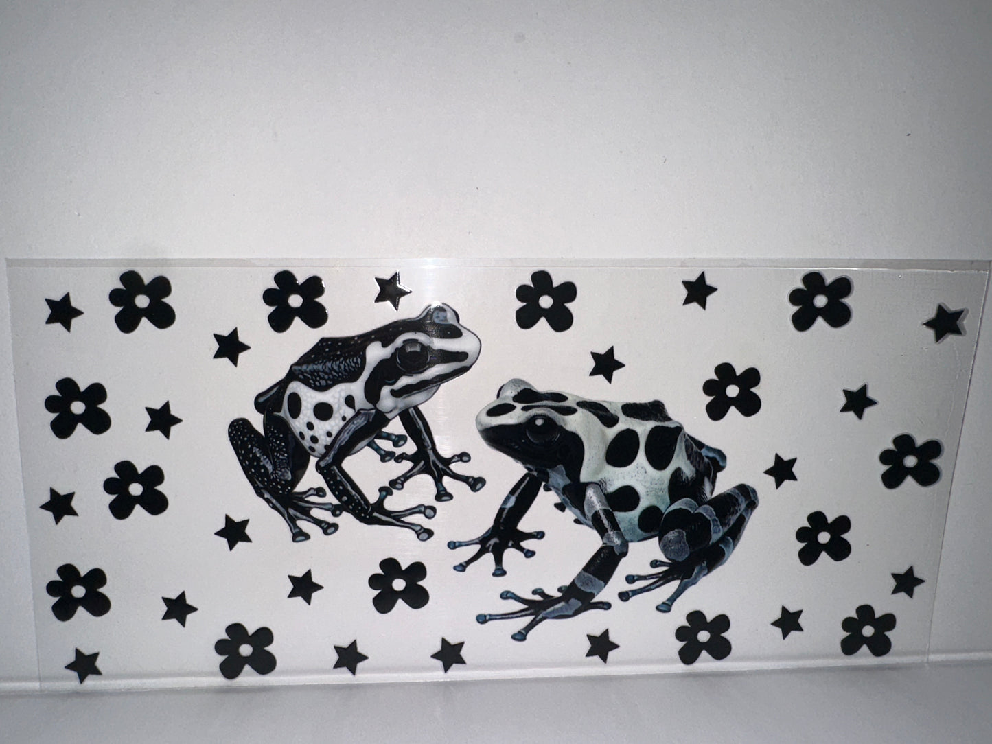 H167 black and white frog