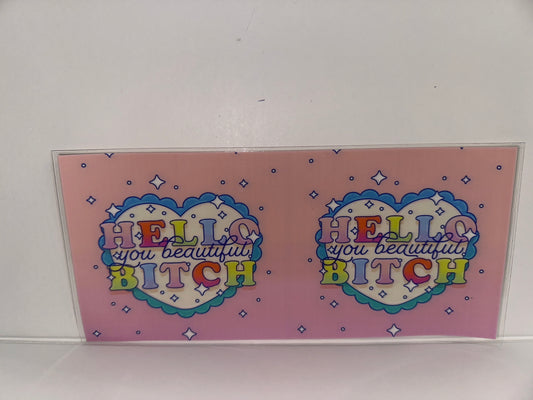 H318 Hello you beautiful bitch