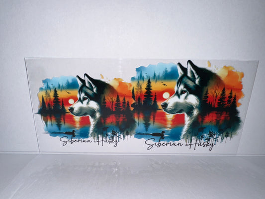 H1899 Dog Husky