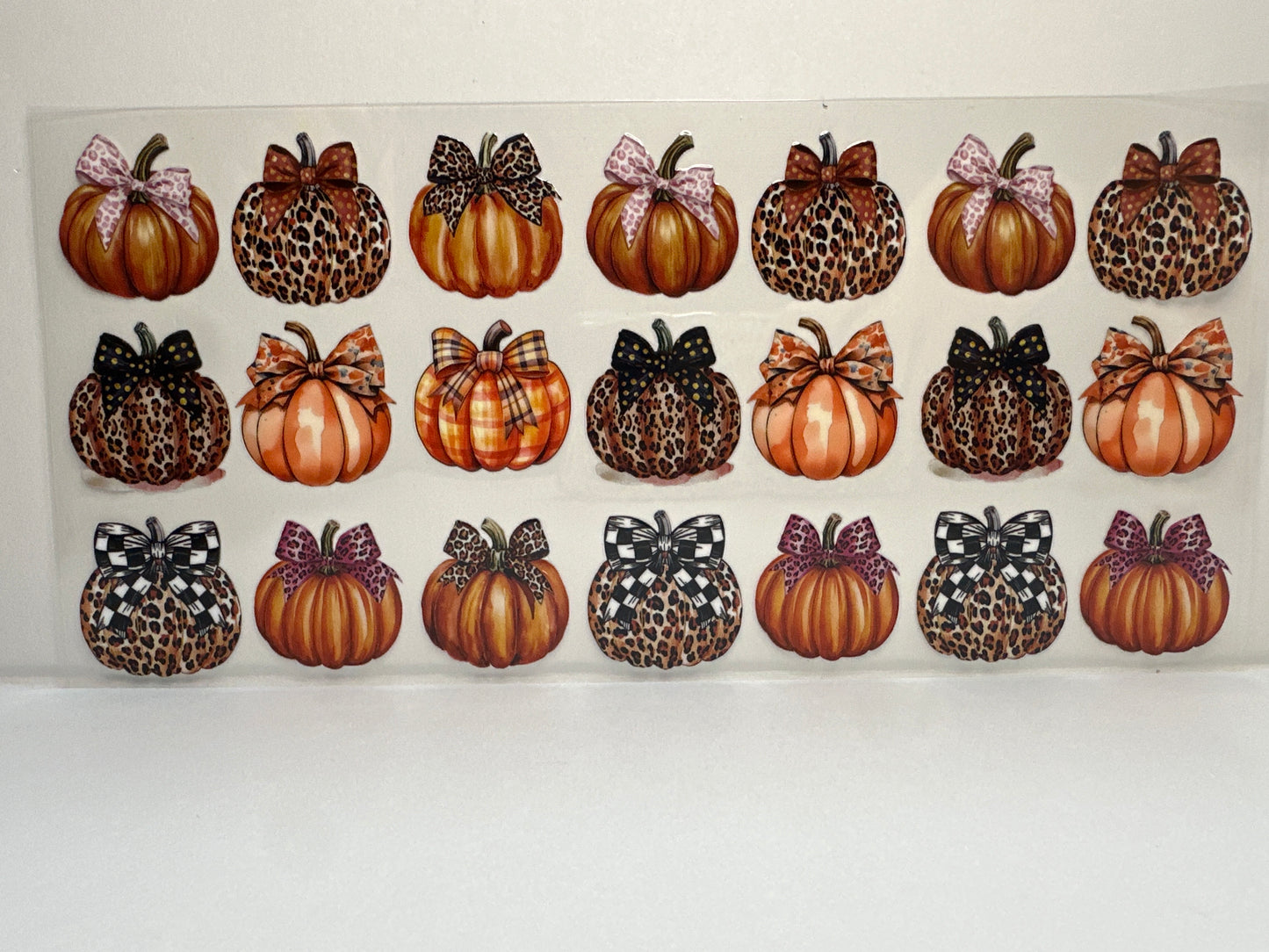 F415 Fall animal print pumpkins