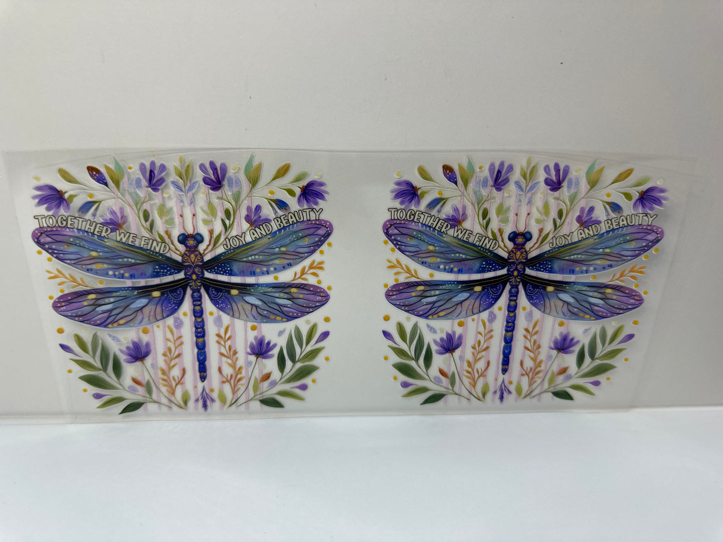 G376 dragonflies, joy, and beauty