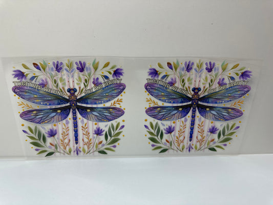 G376 dragonflies, joy, and beauty