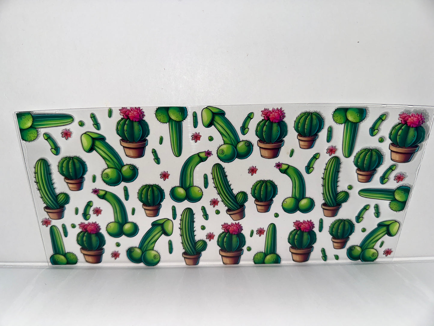 H203 Little Richard cactuses, After dark