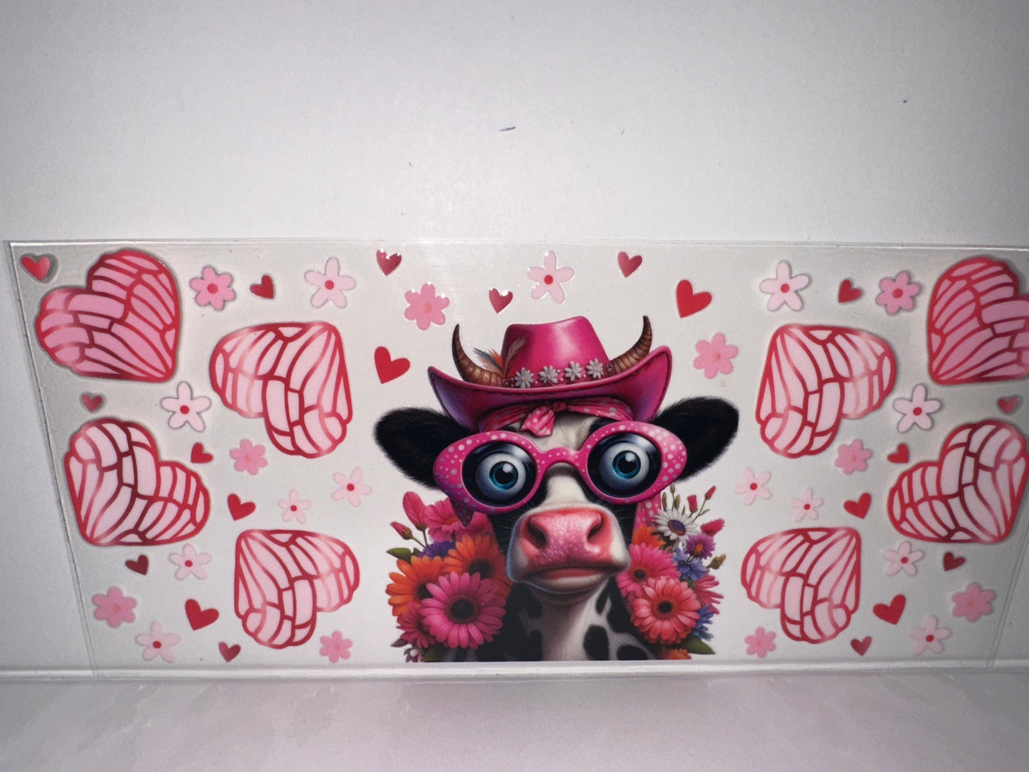 H486 cow with glasses