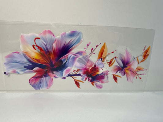 G326 hibiscus flowers
