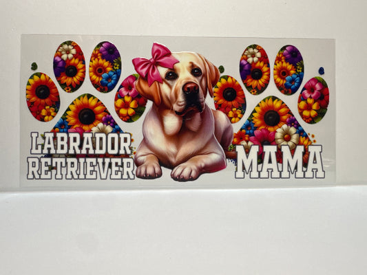 F394 yellow Labrador retriever, mama