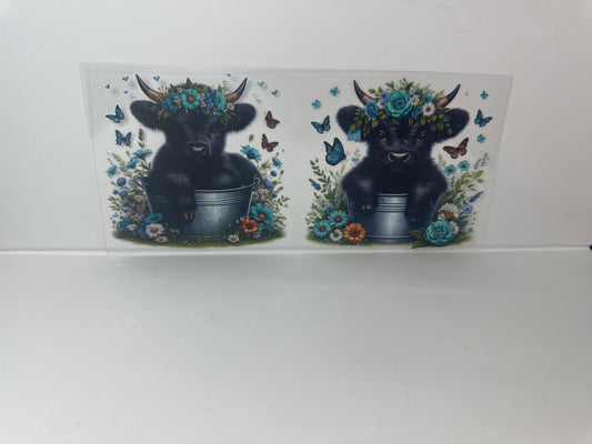 D18 Black Cow