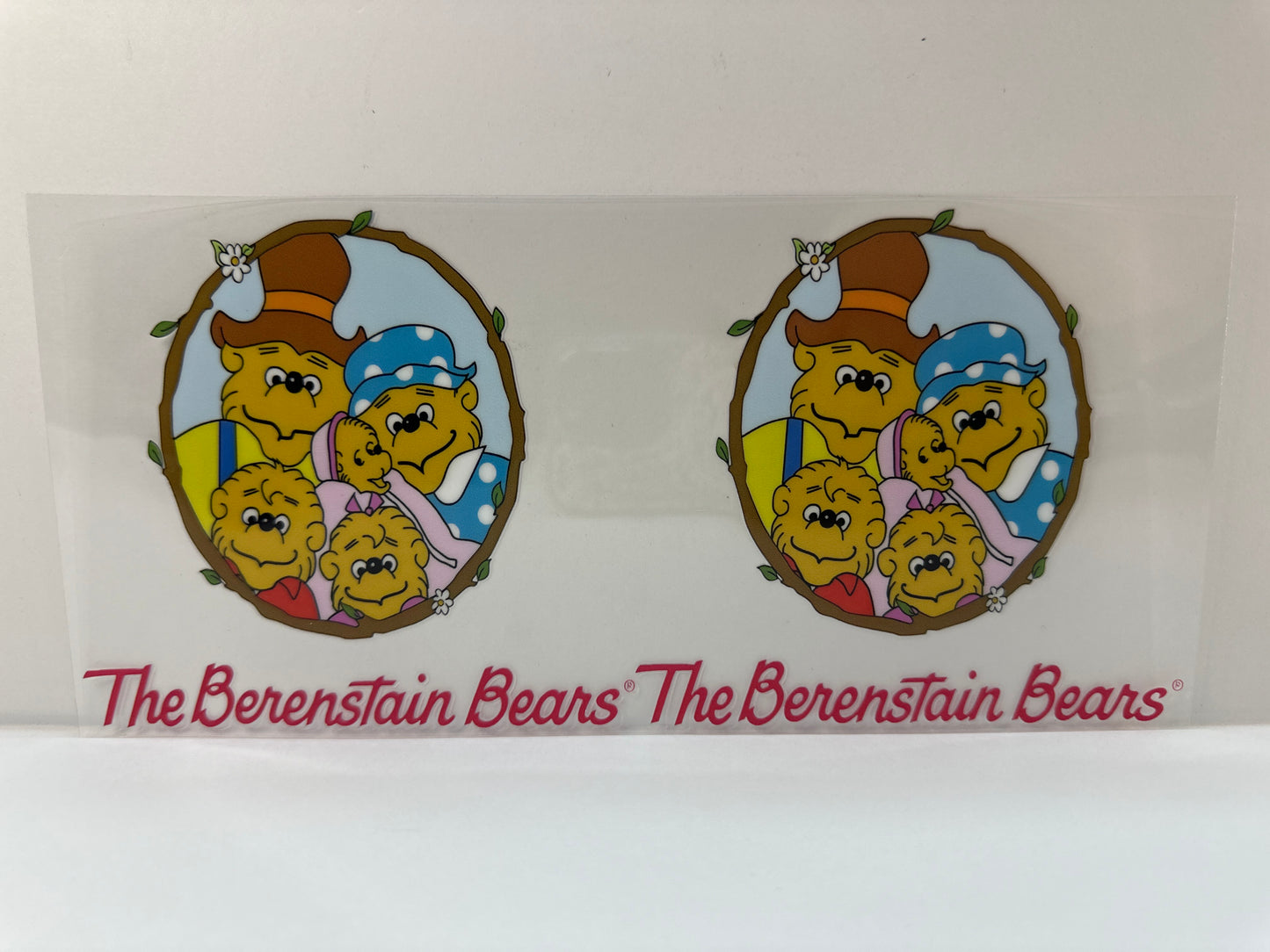 F588 Berenstain Bears