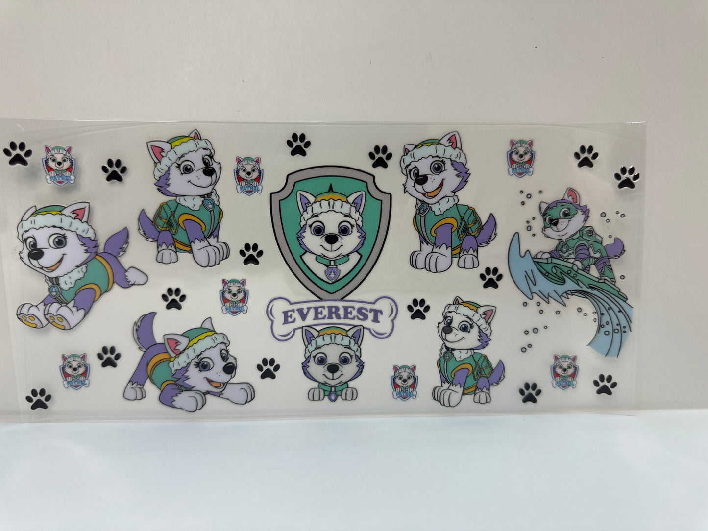 F617 paw patrol Everest