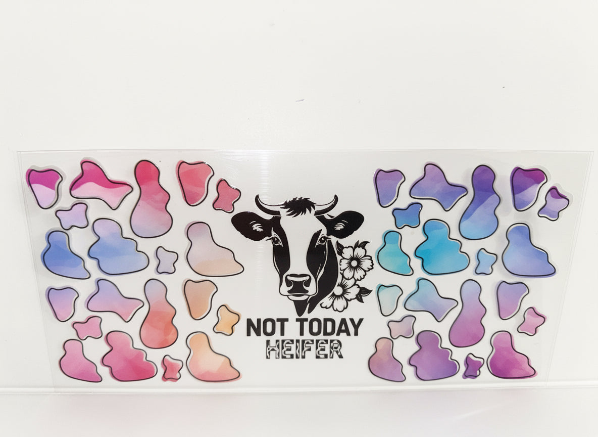 H489 not today heifer cow