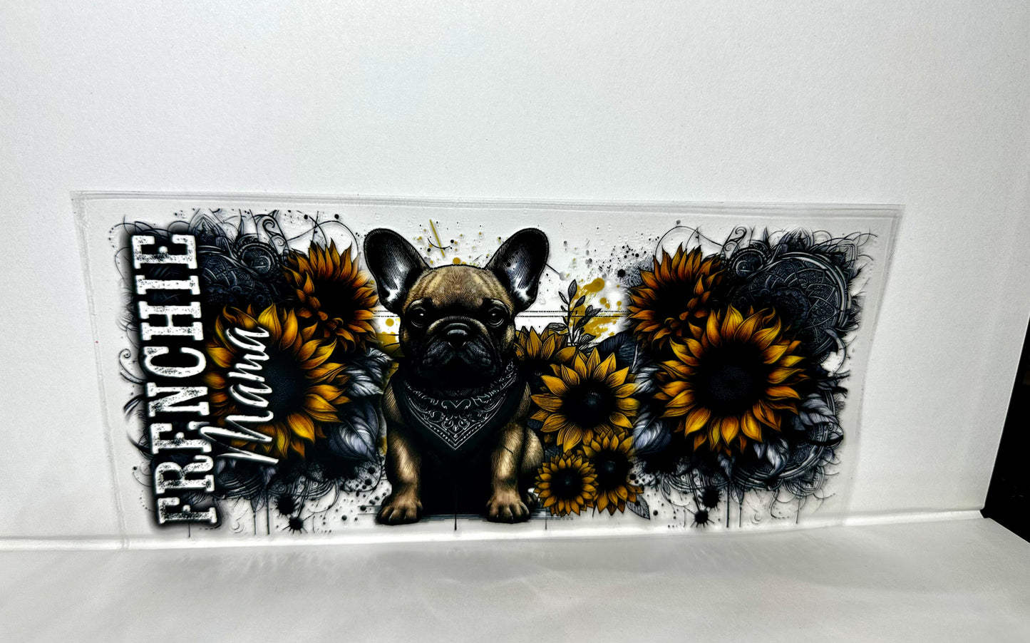 B73 Frenchie