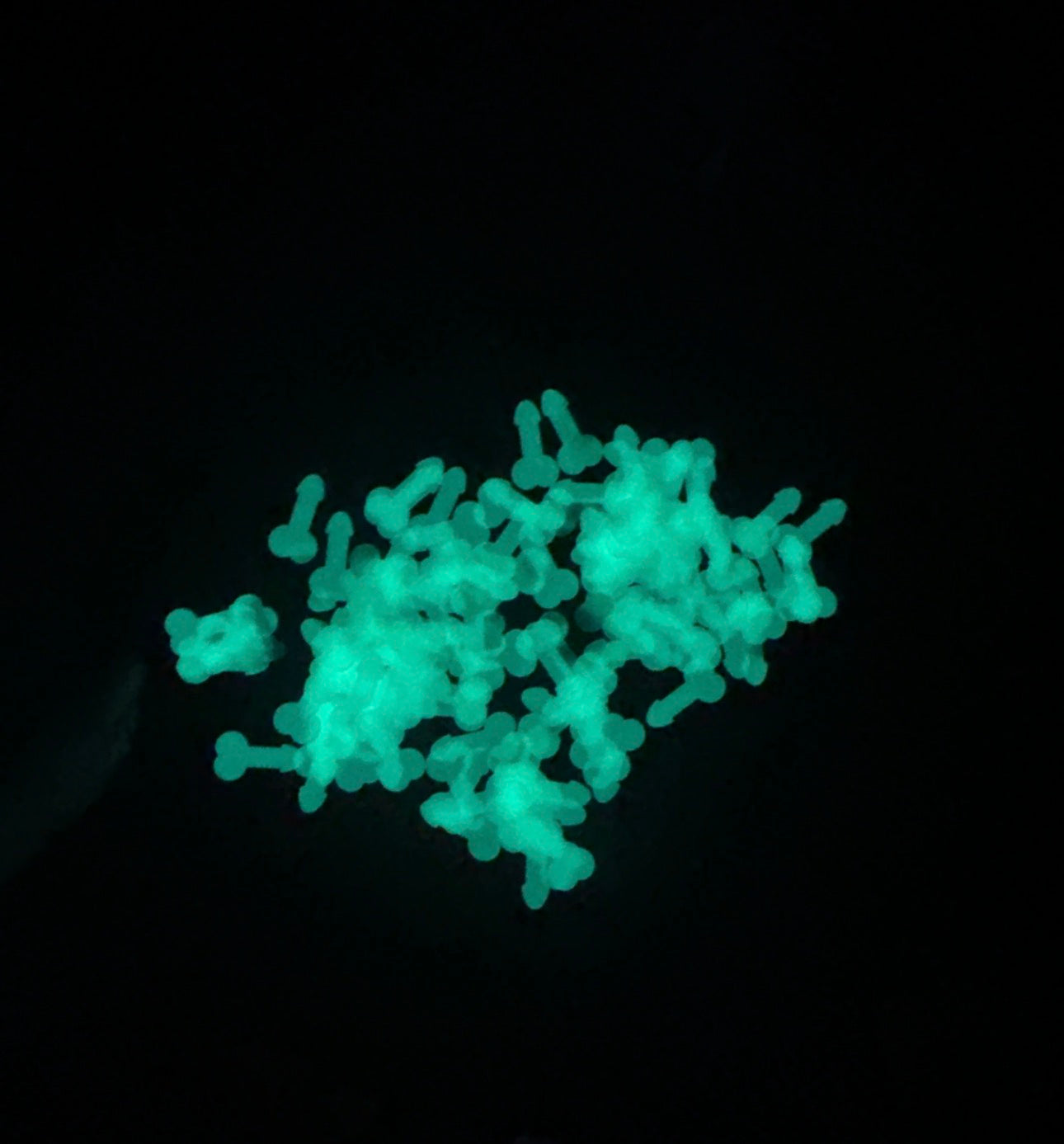 GLOW IN THE DARK Little Richards – Shaped Glitter 8g | Luxy Customs