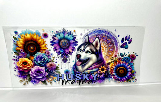 B67 Husky Dog