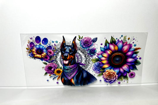 B69 Doberman Dog
