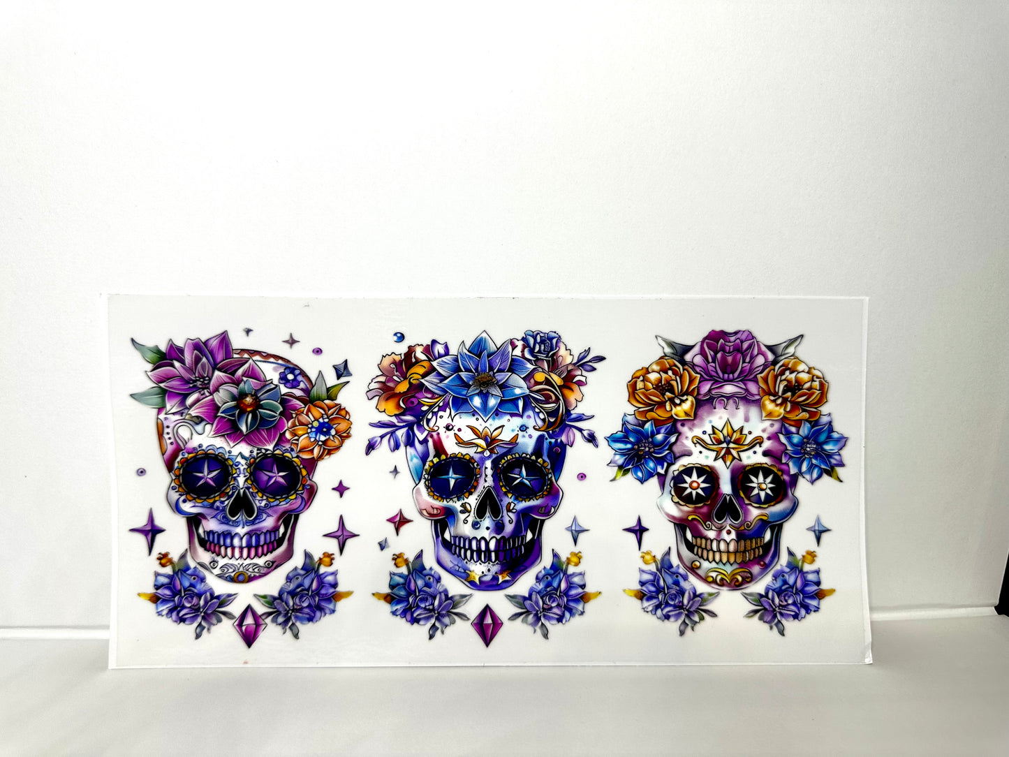 B77 Skulls