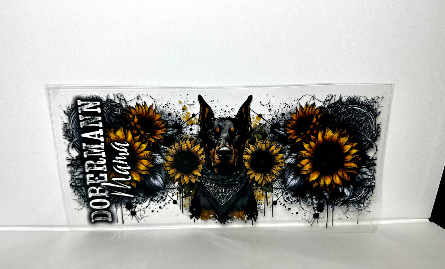B72 Doberman Dog