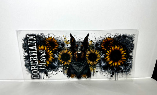 B72 Doberman Dog