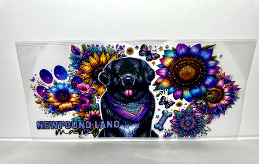 B66 Newfoundland Dog