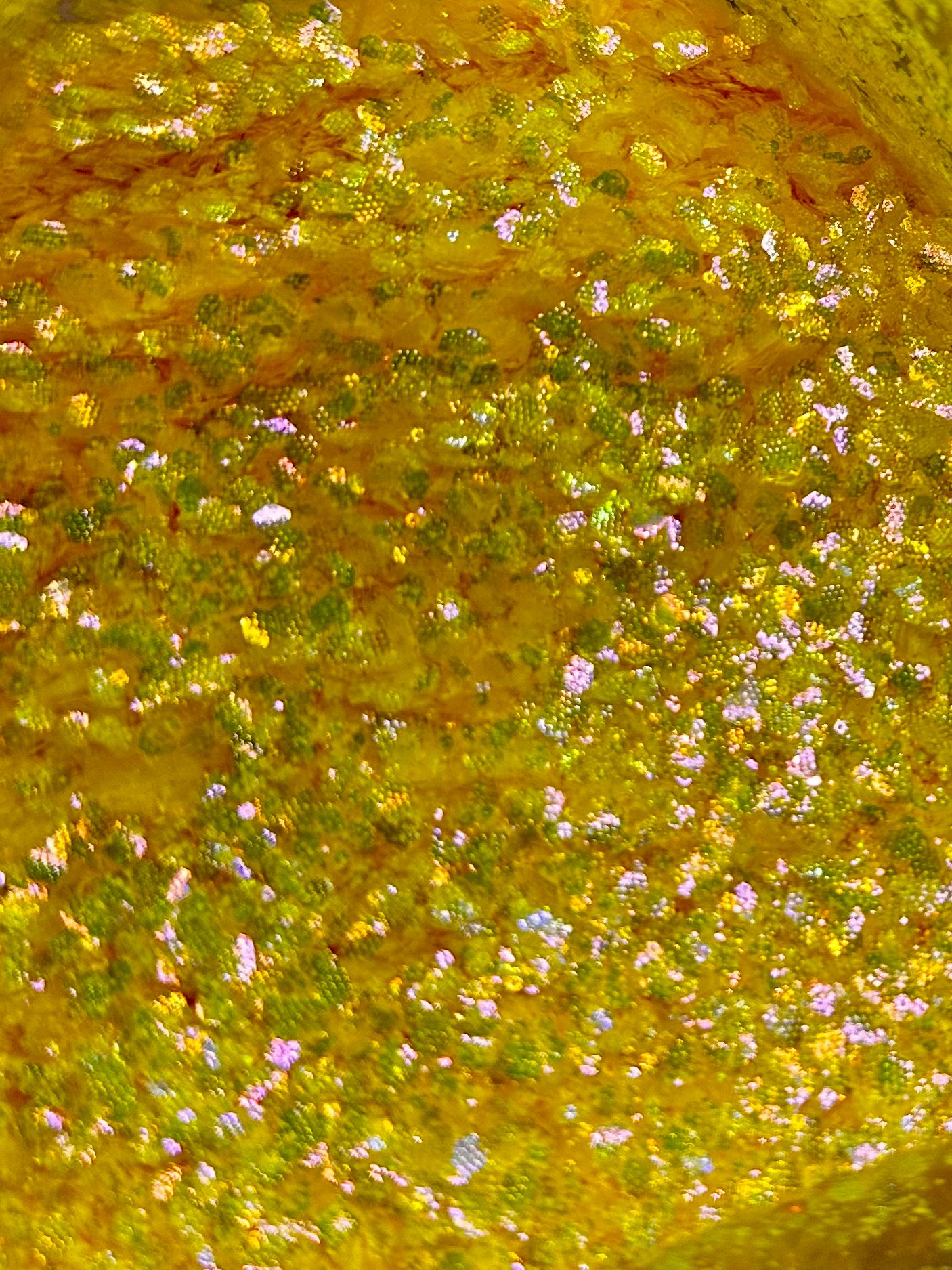 BeeLoved Bear 2oz – Chunky Glitter 2 oz | Luxy Customs